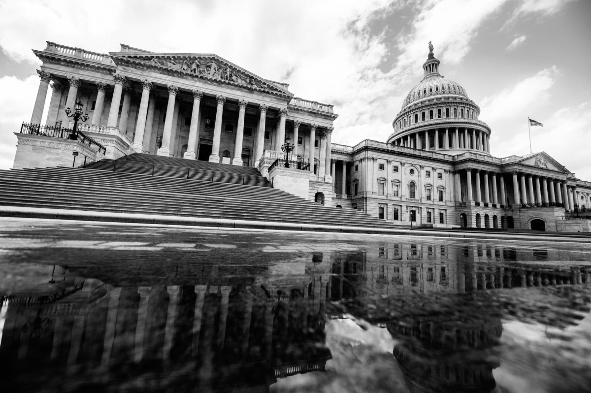Picture of the house side of the Capitol building in black and white.